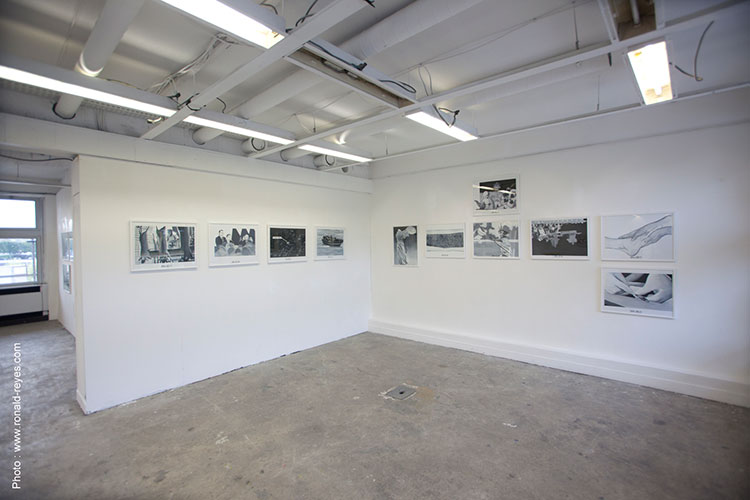 anne guillotel, diary